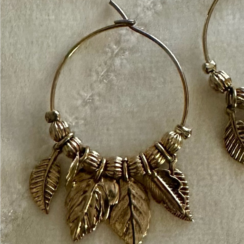 Gold finish Hoop Earrings